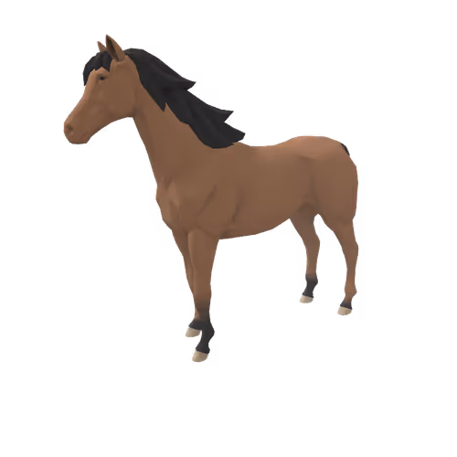 Zkrace Horses
