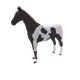 1732