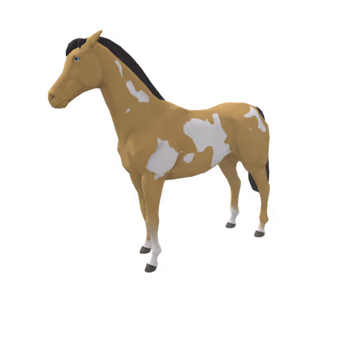 Zkrace Horses