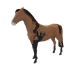6072