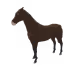 6306