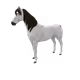 9824