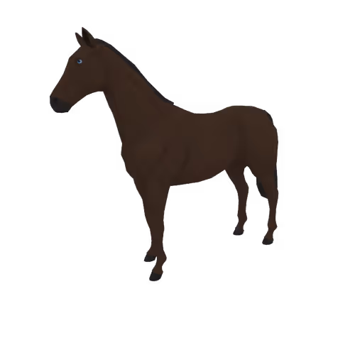 Zkrace Horses