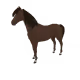 4644