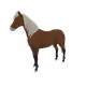 5540