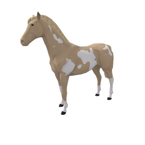 Zkrace Horses