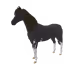 951