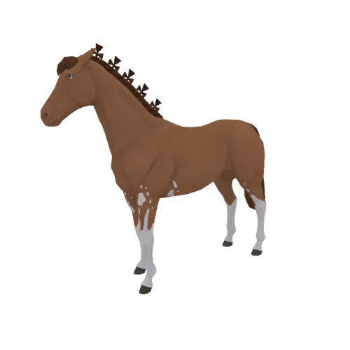 Zkrace Horses