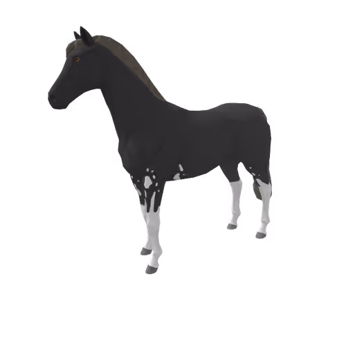Zkrace Horses