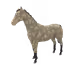 7511