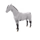 7960