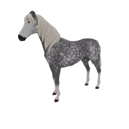 Zkrace Horses