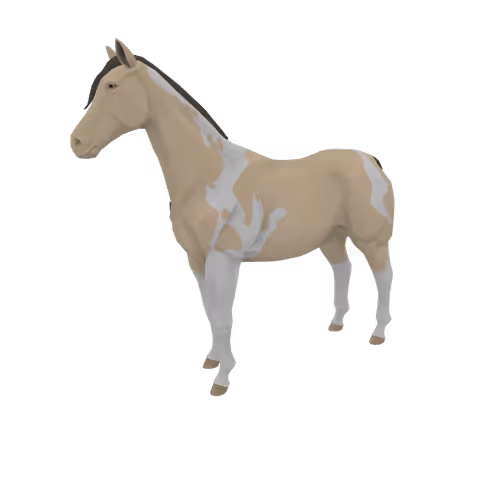 Zkrace Horses