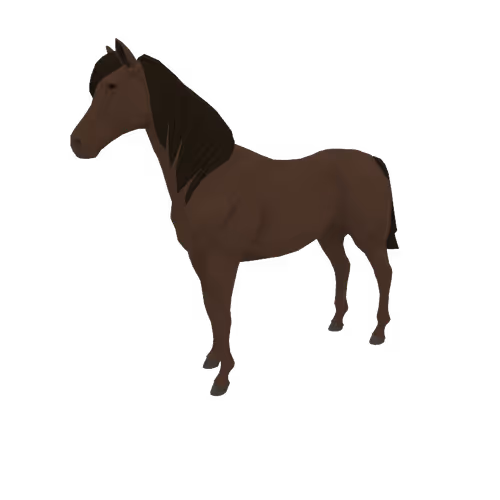 Zkrace Horses