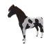 8174