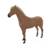 1007