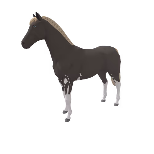 Zkrace Horses