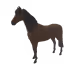 3169