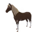 9851