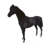 8785