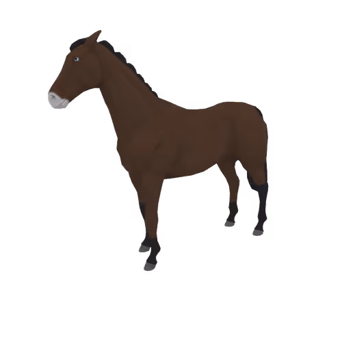 Zkrace Horses