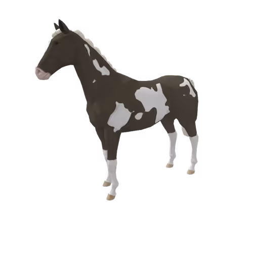Zkrace Horses