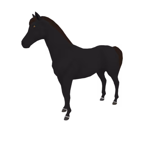 Zkrace Horses