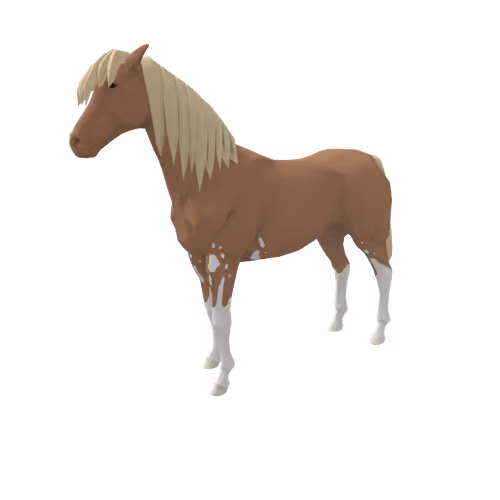 Zkrace Horses