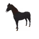 7802