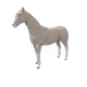 12737