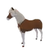 5300