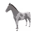 645