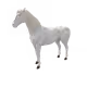 12564