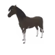 2922