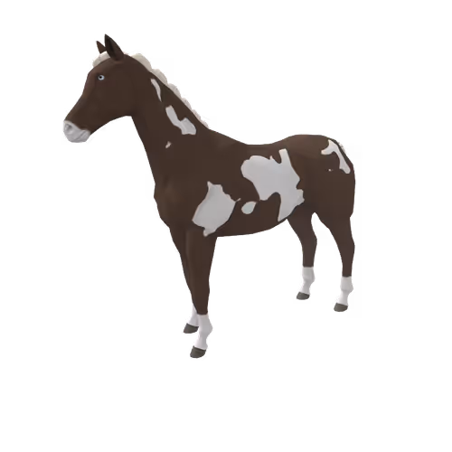 Zkrace Horses