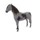 730