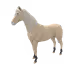698