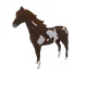 5813