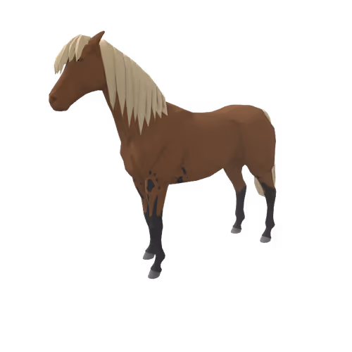Zkrace Horses