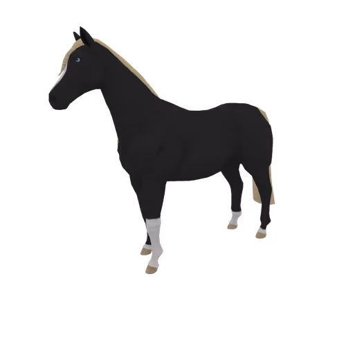 Zkrace Horses