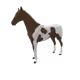 5938