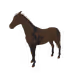 5597
