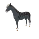 5975