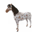 2838