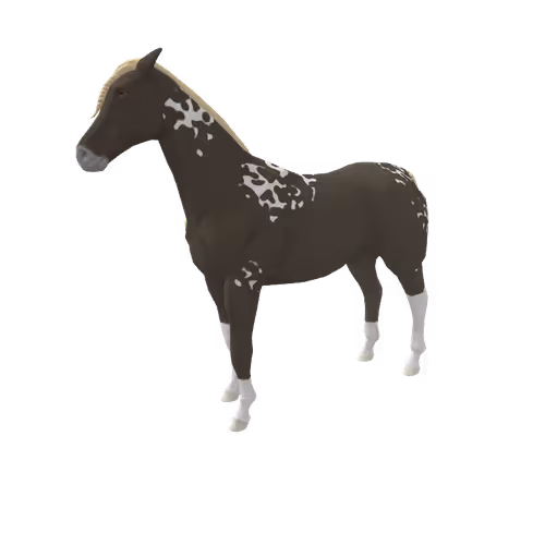 Zkrace Horses
