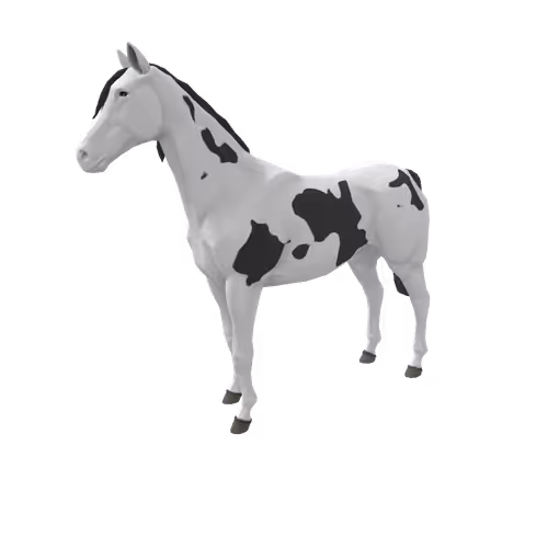 Zkrace Horses