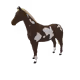 5645