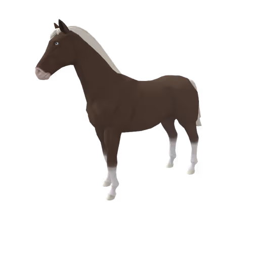 Zkrace Horses