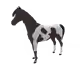 9113