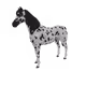3800